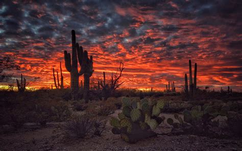 Desert Sunset Computer .